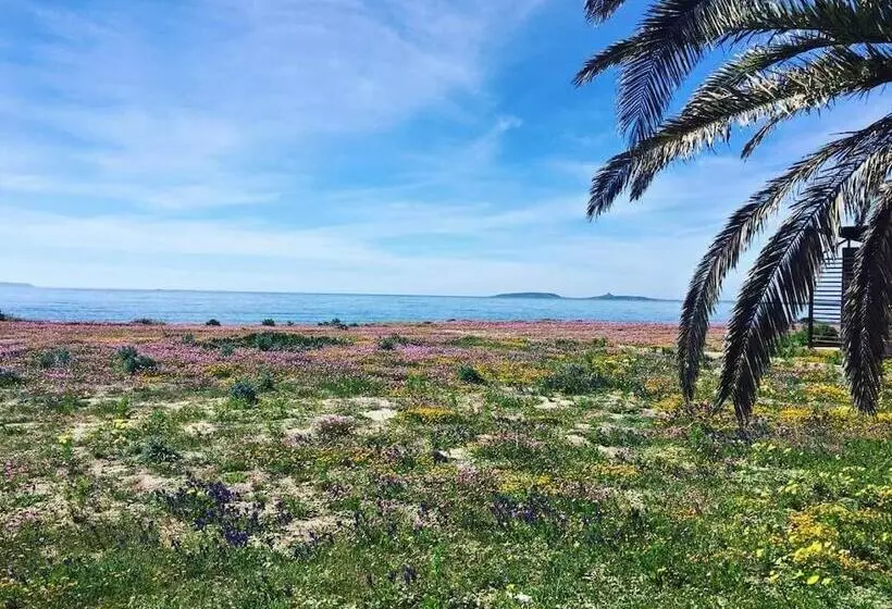 ペンション Affittacamere Al Mare