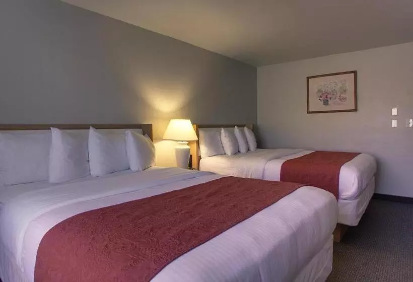 호텔 Aladdin Inn And Suites