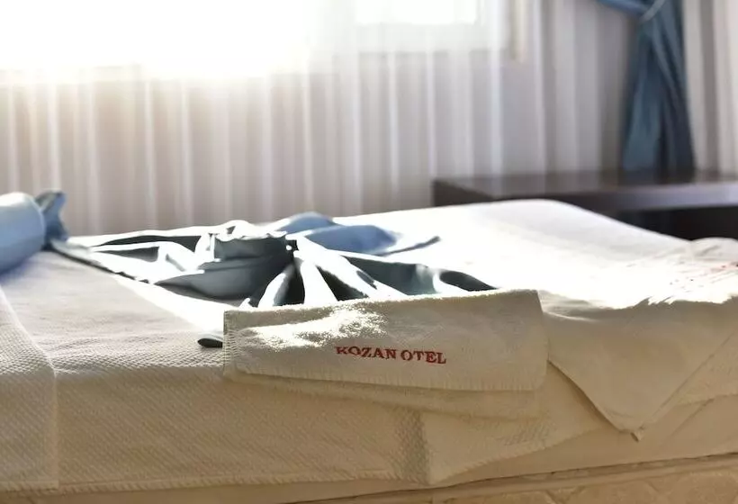 Hotel Kozan