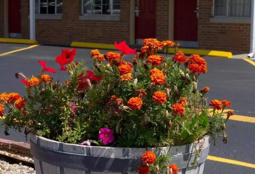 モーテル Economy Inn