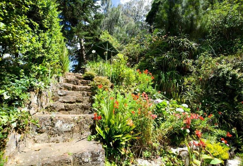 مبيت وإفطار Mount Mary Inn