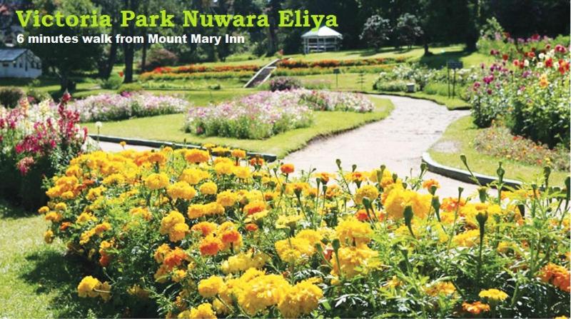 مبيت وإفطار Mount Mary Inn