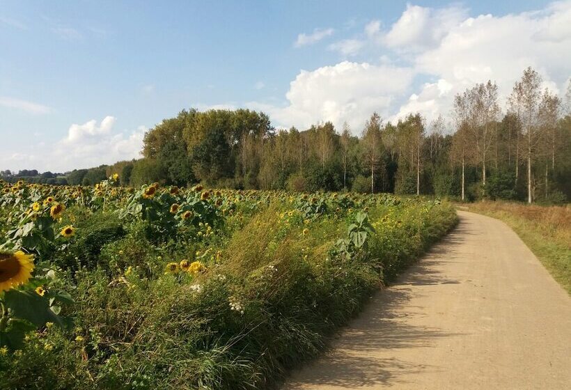 Bed & Breakfast De Vrijheerlyckheid