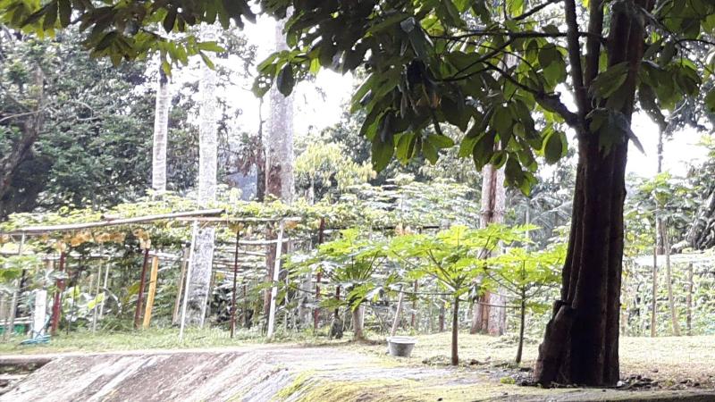 فندق Kampung Janda Baik