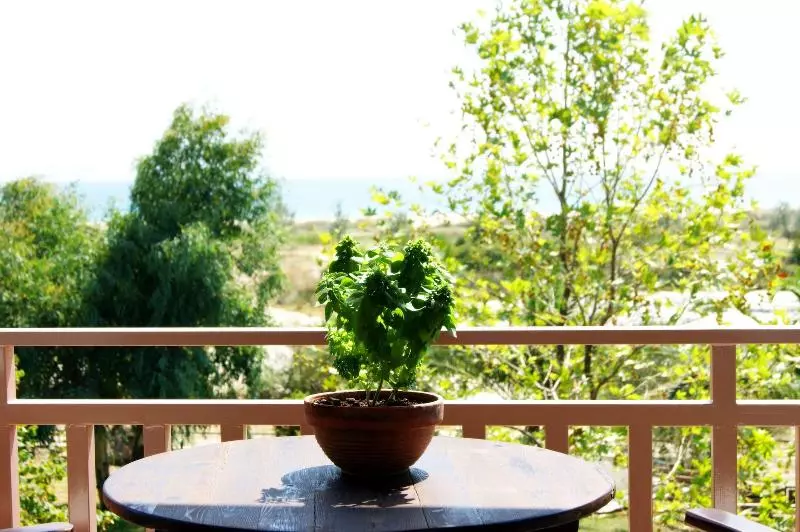 Majatalo Elizabeth's House