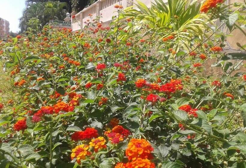 Pension Leinmach House, Nyali