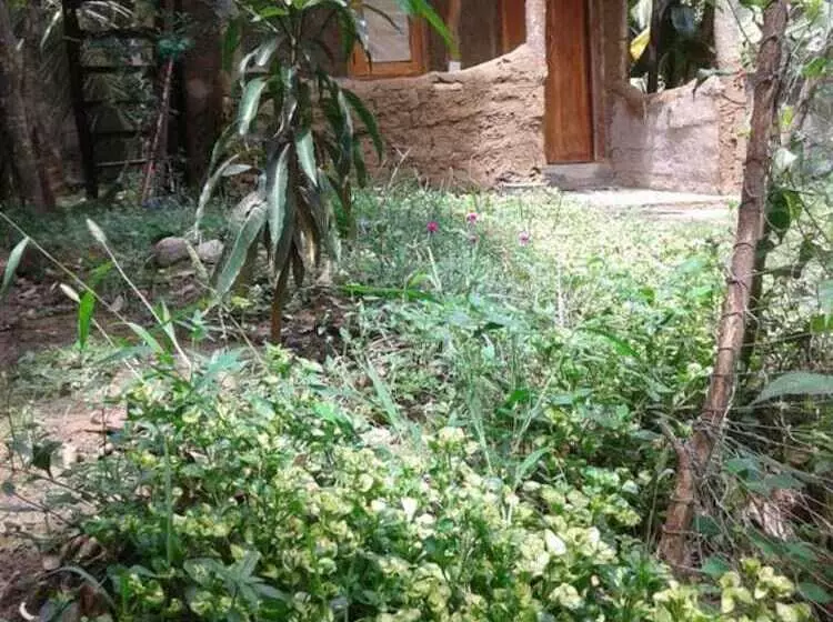 ベッドアンドブレックファースト Green Leaf Cabanas