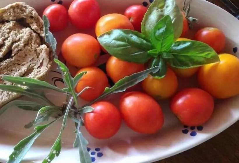 تختخواب و صبحانه Il Tacco Dello Stivale