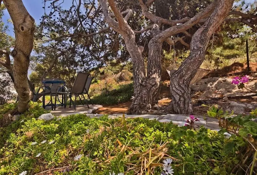 Chc Sound Of The Sea