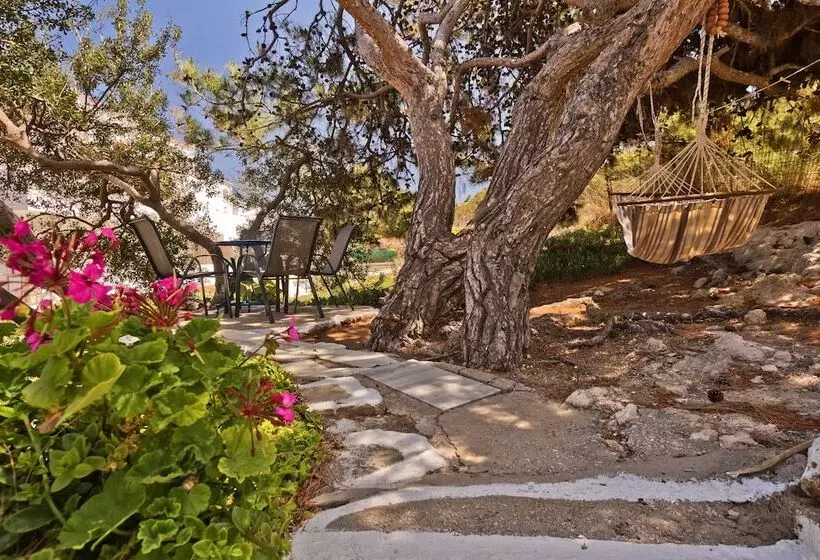 Chc Sound Of The Sea