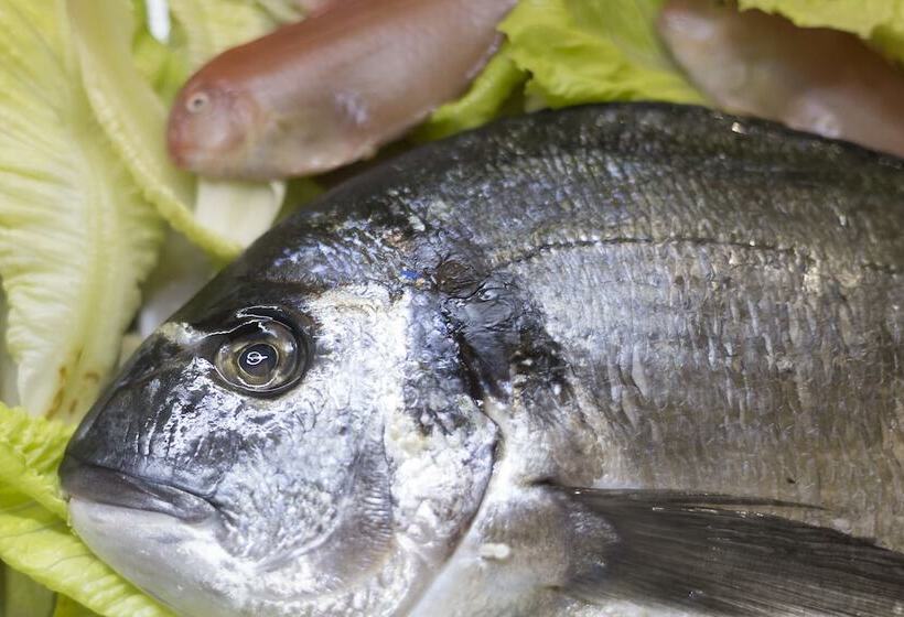 פונדק Calabrisella