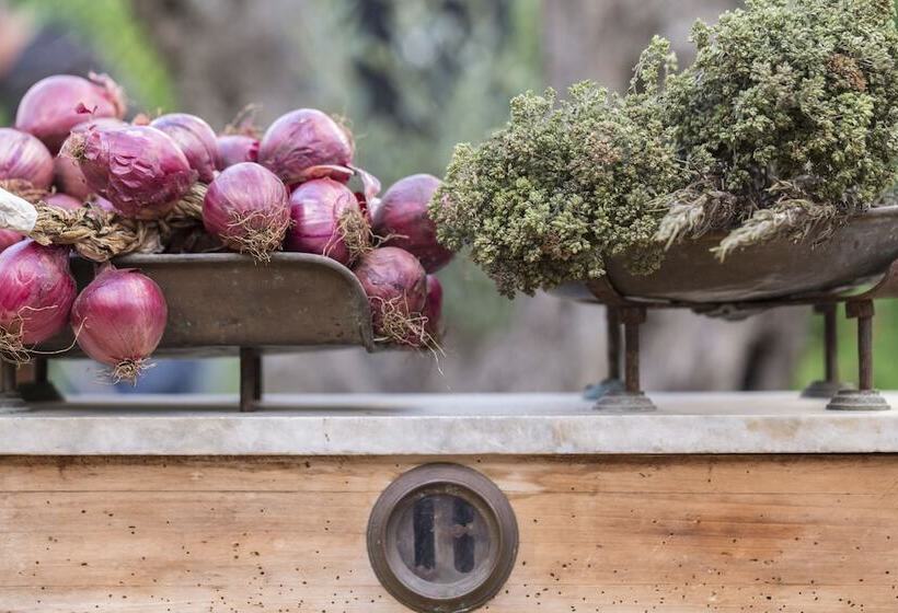 פונדק Calabrisella