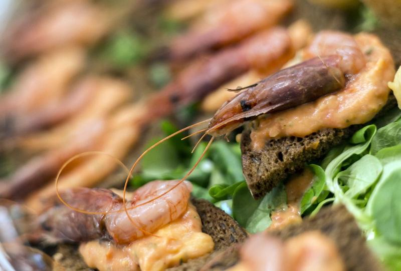 פונדק Calabrisella