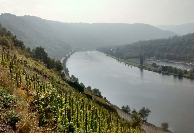 פנסיון Weingut Sauer Kettermann