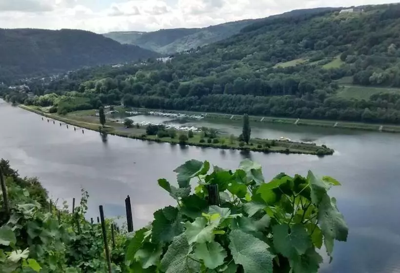 Majatalo Weingut Sauer Kettermann