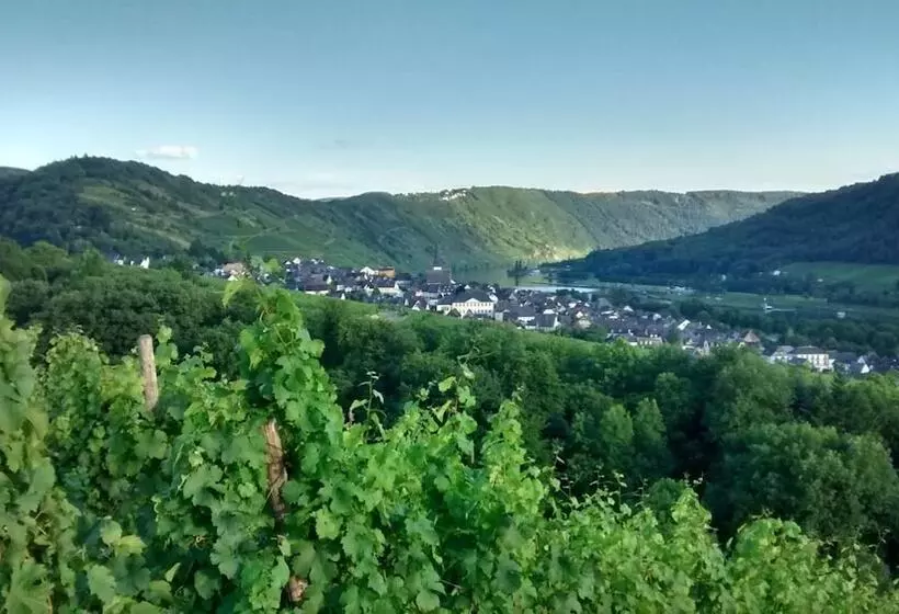 Majatalo Weingut Sauer Kettermann