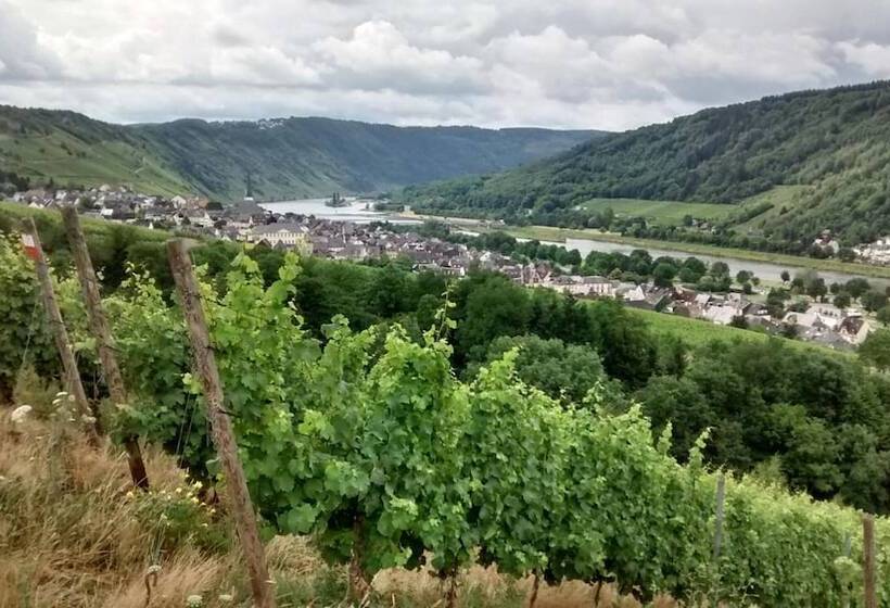 פנסיון Weingut Sauer Kettermann