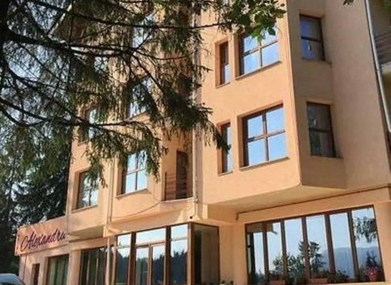 Pensiunea Alexandra