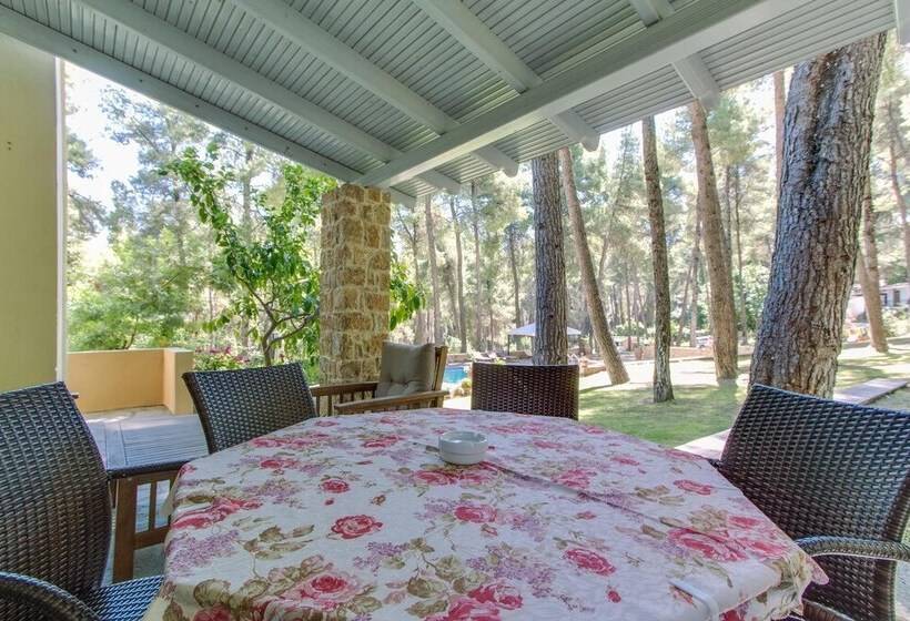 Sani Cape Villas   Stamatiadis