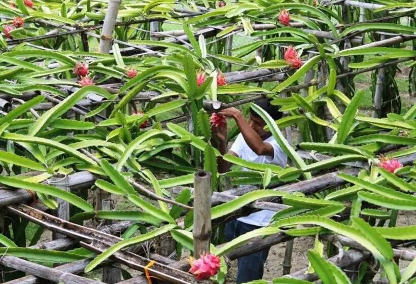 Hotelli Punta Riviera Resort