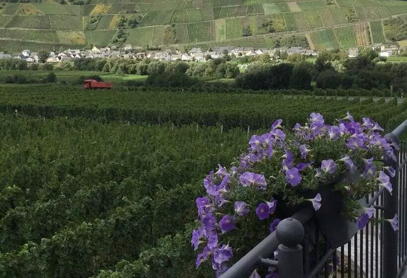 Weingut Pension Bastian