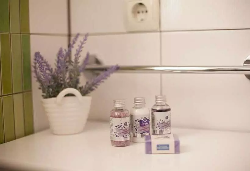 Apartment & Room Ursa