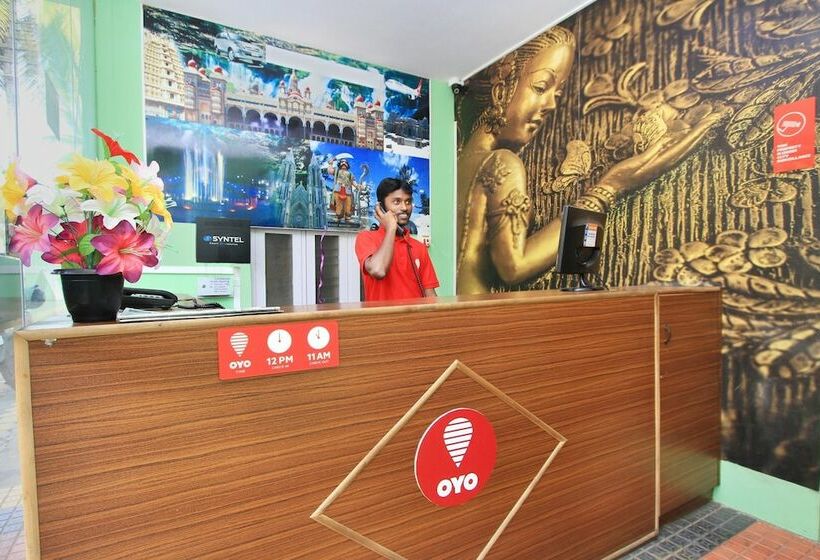 Hotel Collection O 29274 Msr Comforts