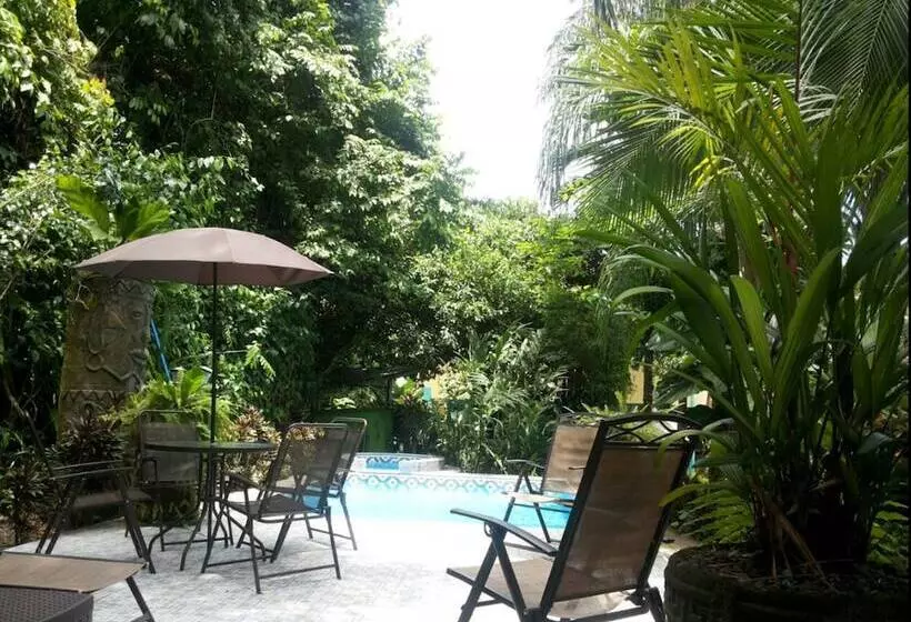 ホテル La Posada Jungle