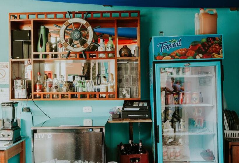 호텔 La Posada Jungle