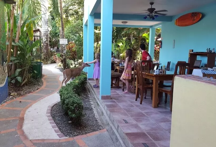 ホテル La Posada Jungle