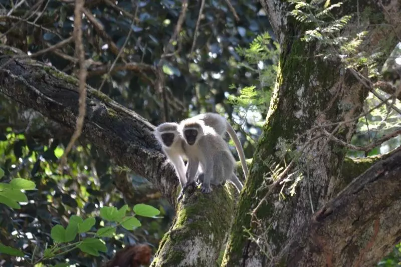 Majatalo Wensleydale Guest Lodge