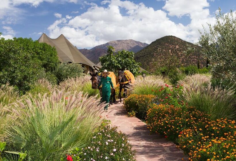 Hôtel Kasbah Tamadot