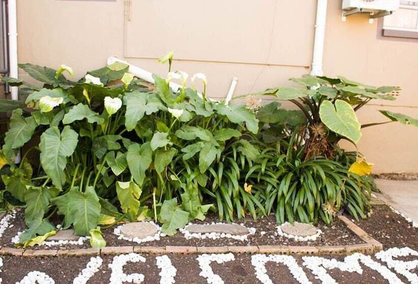 酒店 Lilitha Guest Lodge & Conferencing