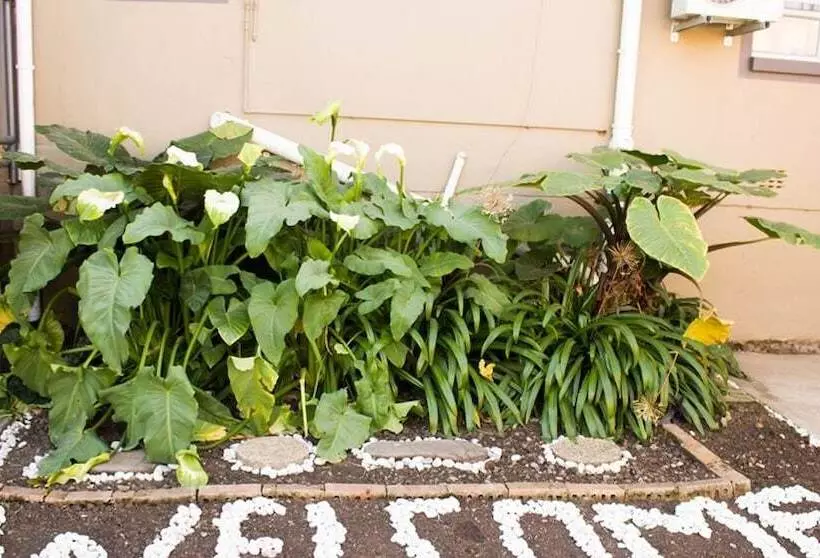 ホテル Lilitha Guest Lodge & Conferencing