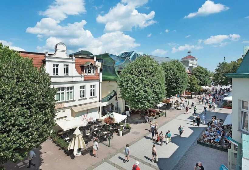 Lion Apartments   Monte Deluxe