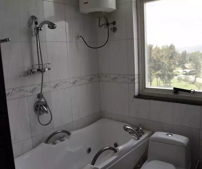 Diplomat Luxury Furnished Apartments