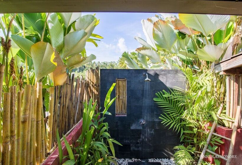 酒店 Hati Padi Cottages