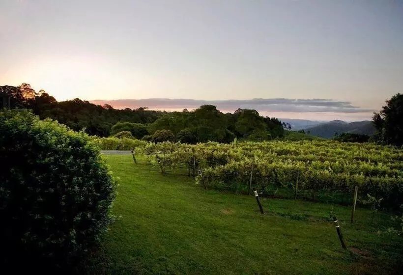 Flame Hill Vineyard