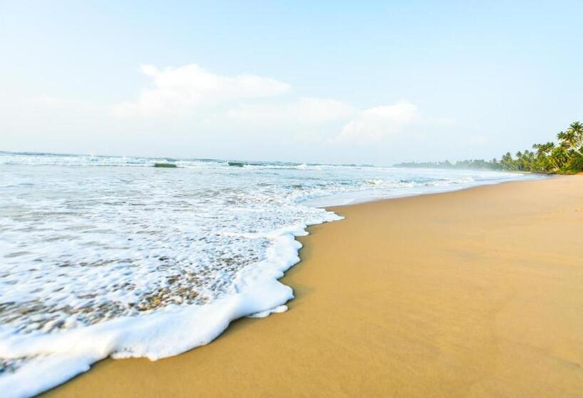 호텔 Ballena Regency