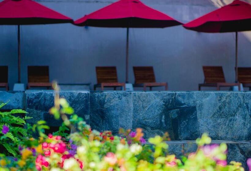 호텔 Ballena Regency