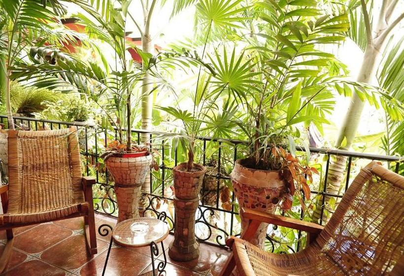 فندق Boutique Casona Maya Mexicana