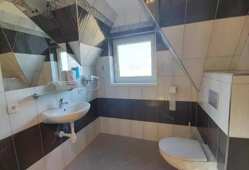 پانسیون Czerwone Wierchy Sauna I Jacuzzi Wliczone W Cenę Pobytu!