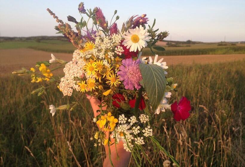 B&b La Chambre De L Anthropologue