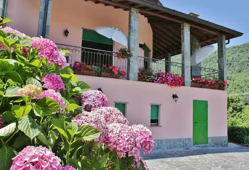 Bed And Breakfast Le Ortensie
