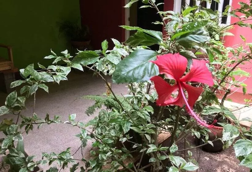 هتل El Caite Hostel