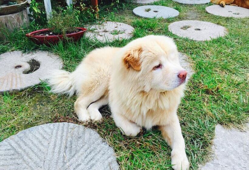 پانسیون Dowon Guesthouse