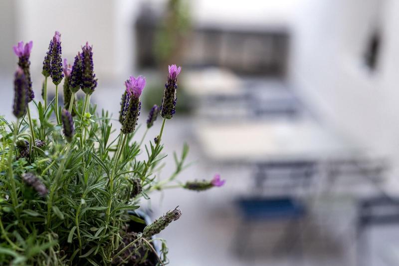 پانسیون Gambello Luxury Rooms