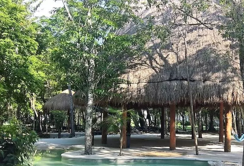 Tu Casa Condos
