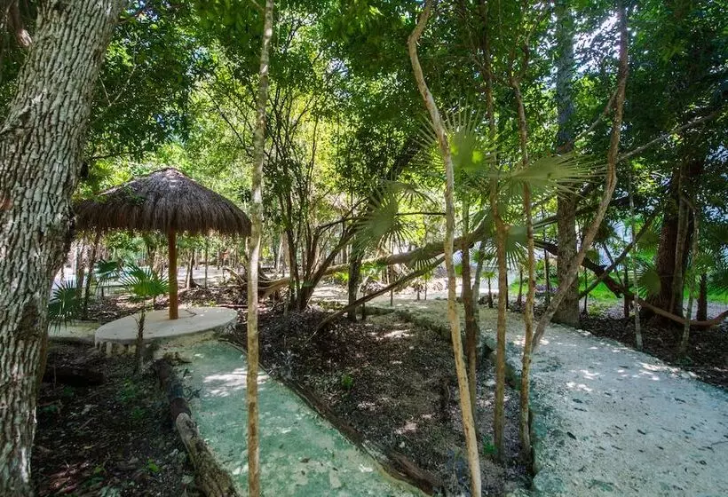 Tu Casa Condos