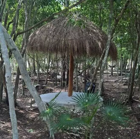 Tu Casa Condos